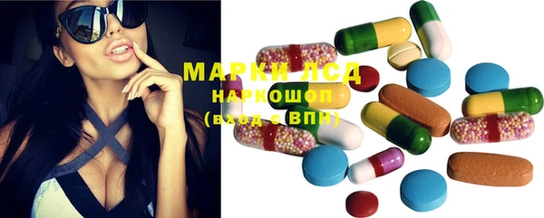 spice Аркадак