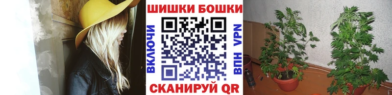 Бошки марихуана семена  где найти наркотики  Белокуриха 